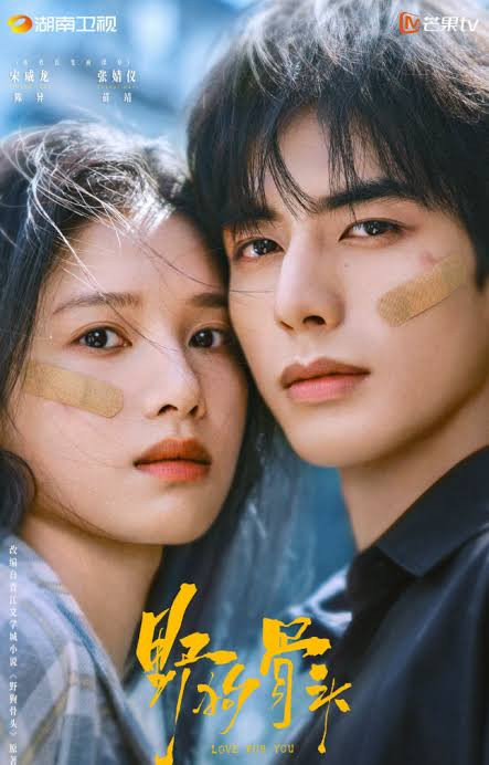Chó Hoang Và Xương là bộ phim truyền hình ngôn tình hiện đại Trung Quốc. Ảnh: Weibo
