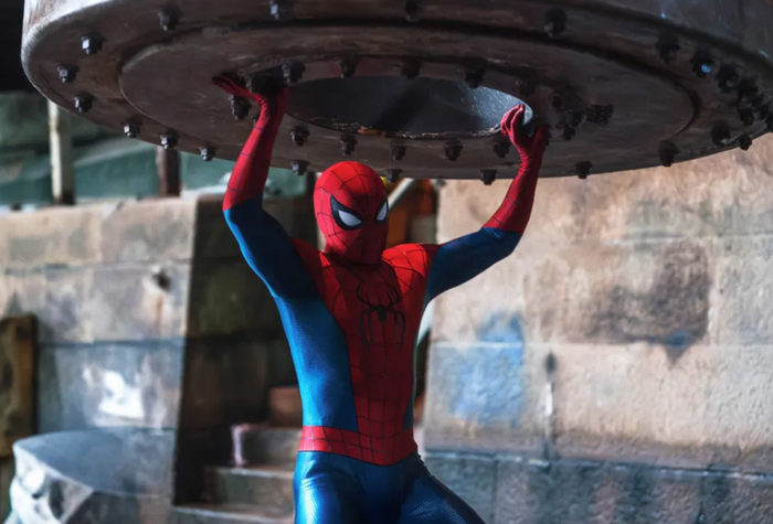 Tom Holland bày tỏ mong muốn trở thành người dìu dắt, hỗ trợ người kế nhiệm như cách 'Iron Man' Robert Downey Jr. từng đồng hành cùng anh khi mới gia nhập MCU. Ảnh: NSX