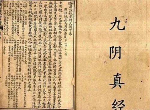 Cửu Âm Chân Kinh và Cửu Dương Thần Công được xem là hai tuyệt học có ảnh hưởng sâu rộng nhất trong 'Xạ điêu tam bộ khúc' của Kim Dung. Ảnh: Sohu.