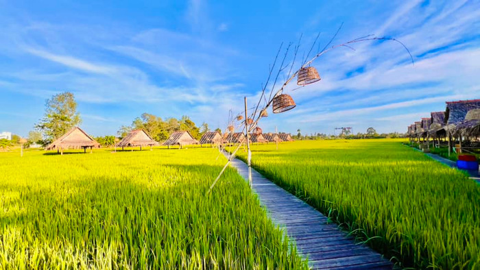 Về quê ca sĩ Hồ Văn Cường một lần, nhiều người thay đổi luôn cách nhìn về miền Tây Ảnh 2