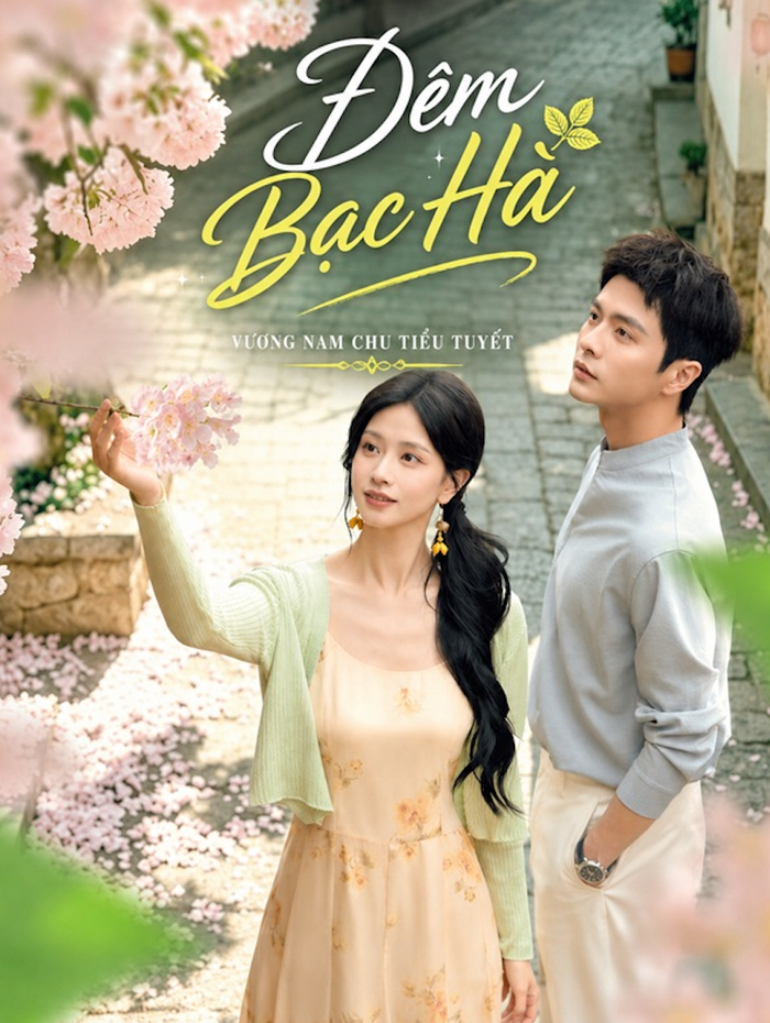 Là một phần của series Tân Hôn Hữu Ẩn, Đêm Bạc Hà mang đến câu chuyện tình yêu lãng mạn giữa hai con người gặp nhau trong hoàn cảnh đặc biệt. Từ cuộc gặp tưởng như tình cờ, họ dần nảy sinh tình cảm và cùng đối mặt với nhiều thử thách. Không chỉ khai thác tuyến tình cảm, bộ phim còn lồng ghép những mâu thuẫn trong gia tộc, góp phần tăng kịch tính cho câu chuyện.