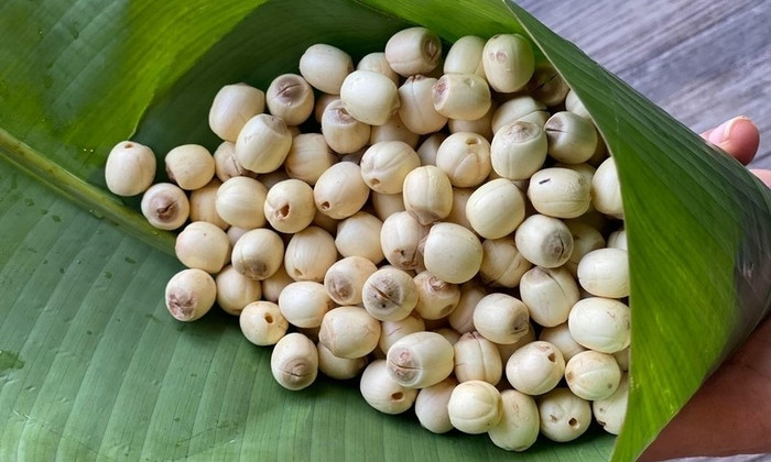 Ảnh minh họa