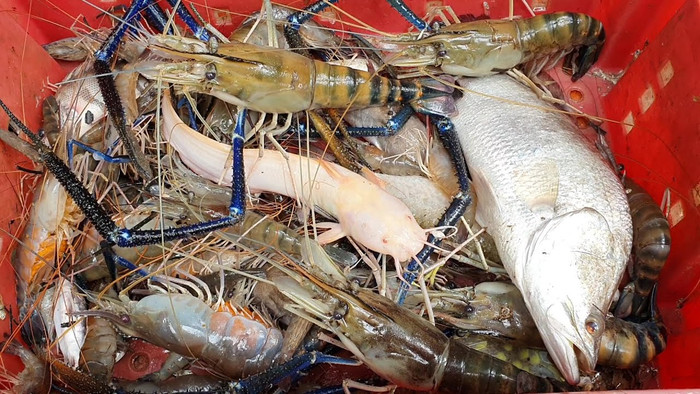'Bàn tiệc' chỉ có một lần trong năm ở quê hương Hồ Văn Cường Ảnh 4
