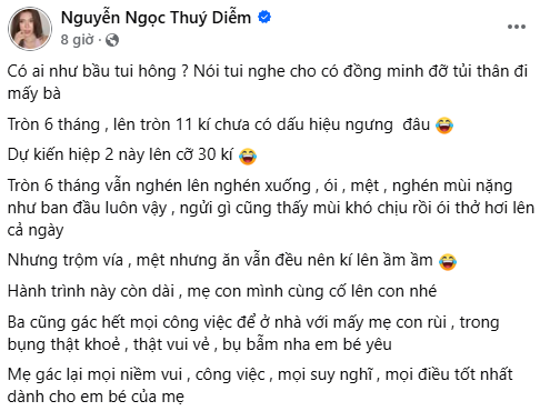 Thúy Diễm hài hước chia sẻ hành trình mang thai con thứ hai trên trang cá nhân. Ảnh : Chụp màn hình
