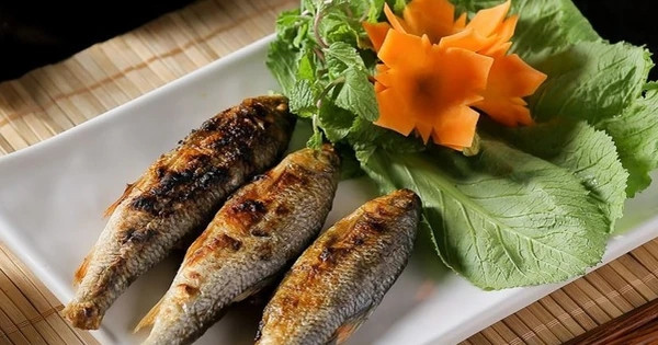Quê nhà bà xã Hồ Văn Cường có một loại cá làm nên thương hiệu ẩm thực xứ Nghệ Ảnh 5
