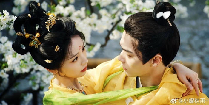 Lấy bối cảnh Trường An vừa hoa lệ vừa ẩn chứa nhiều bí mật, Tử Dạ Quy xoay quanh Vũ Trinh và Mai Trục Vũ - hai con người mang thân phận đối lập. Ban ngày, Vũ Trinh là một quận chúa nổi tiếng phóng khoáng, còn Mai Trục Vũ là viên quan nghiêm túc, chính trực. Thế nhưng khi màn đêm buông xuống, Vũ Trinh lại là yêu miêu đã sống hơn hai trăm năm, trong khi Mai Trục Vũ là đạo sĩ chuyên trừ yêu. Cuộc hôn nhân sắp đặt khiến họ buộc phải đồng hành, từ đó lần lượt khám phá những vụ án kỳ bí liên quan đến yêu quái và thế lực đen tối tại Trường An. Sự đối lập giữa thân phận, tính cách và nhiệm vụ tạo nên sức hút riêng cho chuyện tình của hai nhân vật.