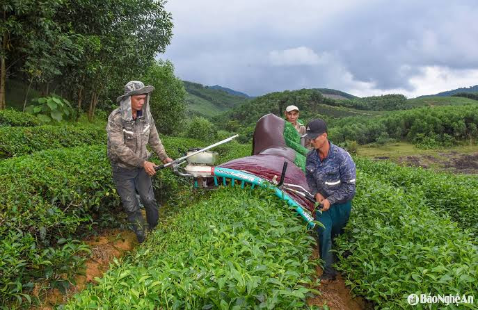 Những người lao động bình dị ở xứ Nghệ. Ảnh: báo Nghệ An