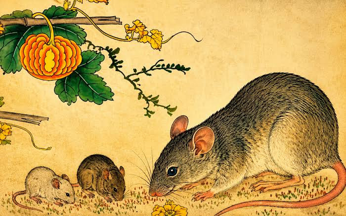 3 con giáp đang được Thần Tài gọi tên: Làm đâu thắng đó, tiền vào như nước Ảnh 2