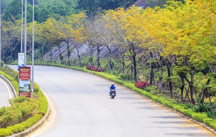 Khung cảnh đẹp lãng mạn ở cung đường lên Bà Nà.