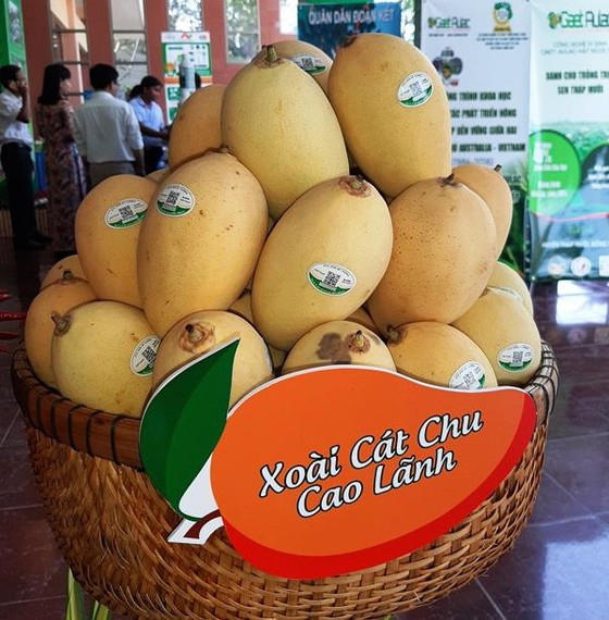 Những loại trái cây làm nên hương vị Đồng Tháp - quê hương Hồ Văn Cường Ảnh 2