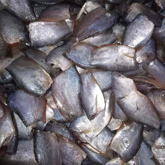 Những loại cá từng gắn bó với bữa cơm quê nay ngày càng hiếm gặp Ảnh 3