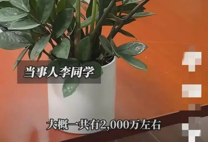 Nam sinh 19 tuổi lập di chúc, để lại khối tài sản 77 tỷ đồng cho bạn thân Ảnh 2