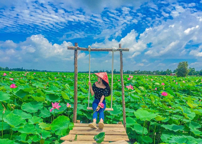 Về quê hương Hồ Văn Cường, nghe hương sen 'kể chuyện' Ảnh 4