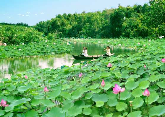 Về quê hương Hồ Văn Cường, nghe hương sen 'kể chuyện' Ảnh 3