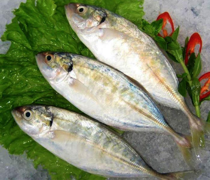 Những loại cá bình dân nhưng làm nên tinh hoa ẩm thực miền Trung Ảnh 3