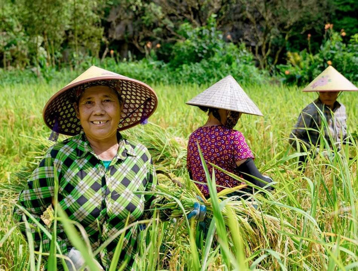 Nét giản dị của người dân Ninh Bình. Ảnh: báo Lao Động