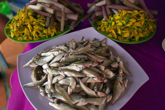 Vẻ đẹp ẩm thực mùa nước nổi ở quê hương Hồ Văn Cường Ảnh 2