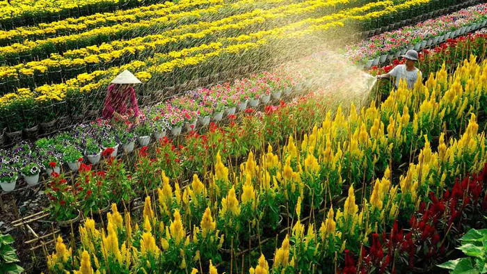 5 trải nghiệm không nên bỏ lỡ khi ghé thăm quê hương Hồ Văn Cường Ảnh 6