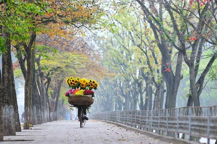 Vẻ đẹp không thể trộn lẫn ở vùng đất sinh ra Hoa hậu Phương Oanh Ảnh 4
