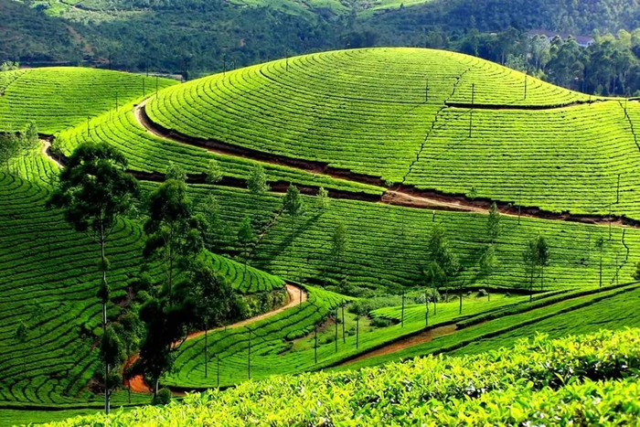 Những điểm đến ở Nghệ An quê bà xã Hồ Văn Cường càng đi vào tháng 8 càng đẹp Ảnh 7