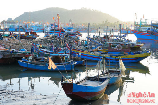 Ảnh: báo Nghệ An