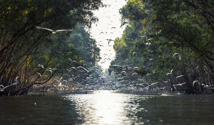 Cảnh đẹp ở vườn quốc gia Tràm Chim. Ảnh: Thám hiểm Mekong
