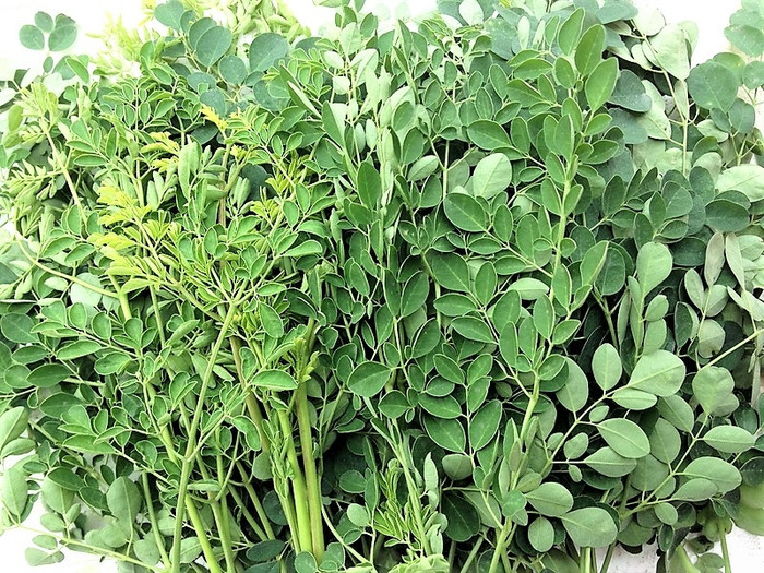 Loại rau giàu vitamin K nhưng ít xuất hiện trong bữa cơm người Việt Ảnh 1