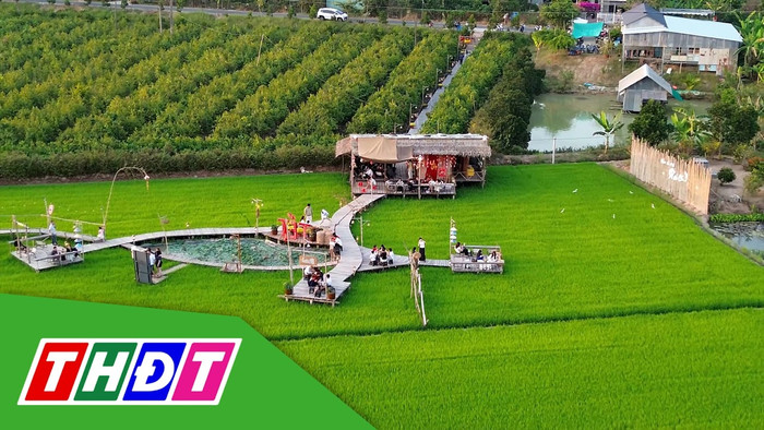 Quán cà phê giữa cánh đồng ở Đồng Tháp. Ảnh: Truyền hình Đồng Tháp