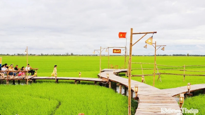 Khung cảnh khiến con người muốn sống chậm lại để tận hưởng nhiều hơn. Ảnh: báo Đồng Tháp.