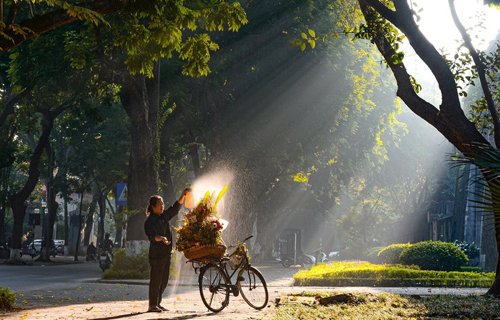 Vẻ đẹp lãng mạn ở phố Phan Đình Phùng. Ảnh: Sưu tầm