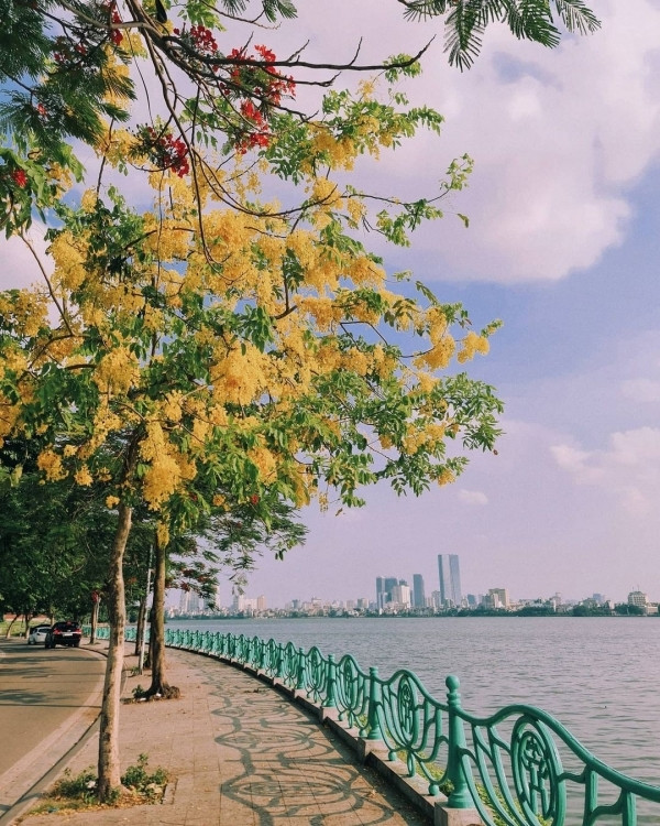Đến Hà Nội mùa thu, đừng quên ghé Hồ Tây lộng gió. Ảnh: Tuổi Trẻ Online