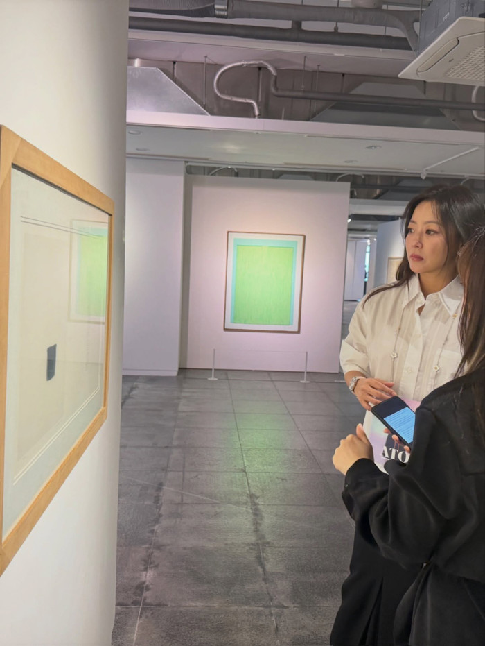 Kim Hee Sun dành sự quan tâm cho nghệ thuật.