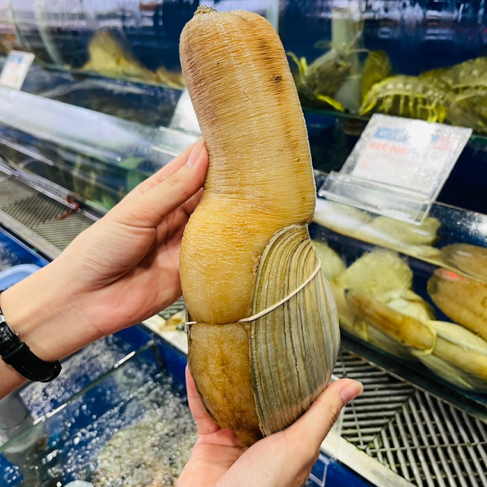 Loại ốc có hình dáng đặc biệt và cái tên nghe lạ tai, thịt giòn ngọt ít người biết Ảnh 1