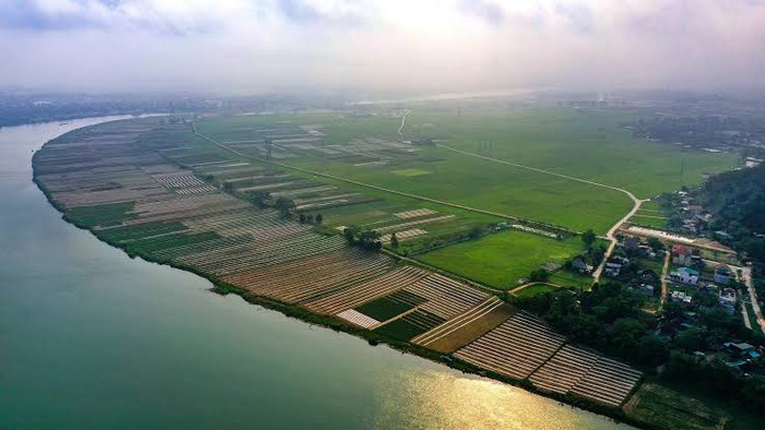 Khung cảnh yên bình của đồng bãi xanh mướt bên dòng Lam. Ảnh: báo Nghệ An