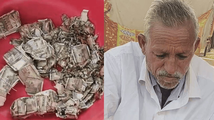 Bí mật chôn 130 triệu tiền mặt ngoài ruộng, người nông dân bàng hoàng khi đào lên sau 1 năm Ảnh 3