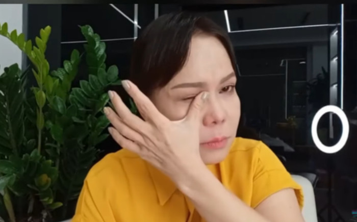 Nhiều khán giả tiếc nuối cho Việt Hương sau khi dừng lại dù đạt thành tích lớn ở lĩnh vực điện ảnh trong năm vừa qua.