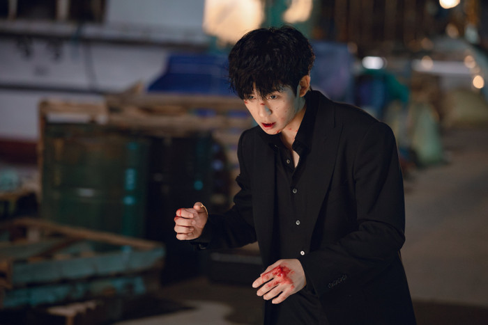 Jung Hae In tiếp tục phát huy hình ảnh nam chính có vẻ ngoài lạnh lùng nhưng giàu tình cảm khi hóa thân thành Jang Tae Ha.