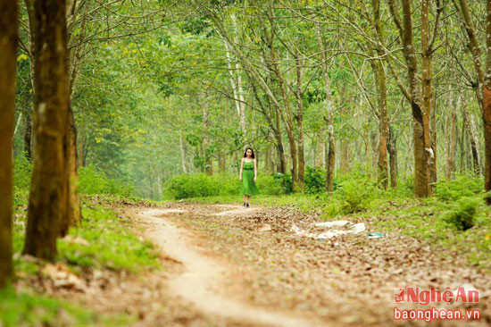 Ảnh: báo Nghệ An