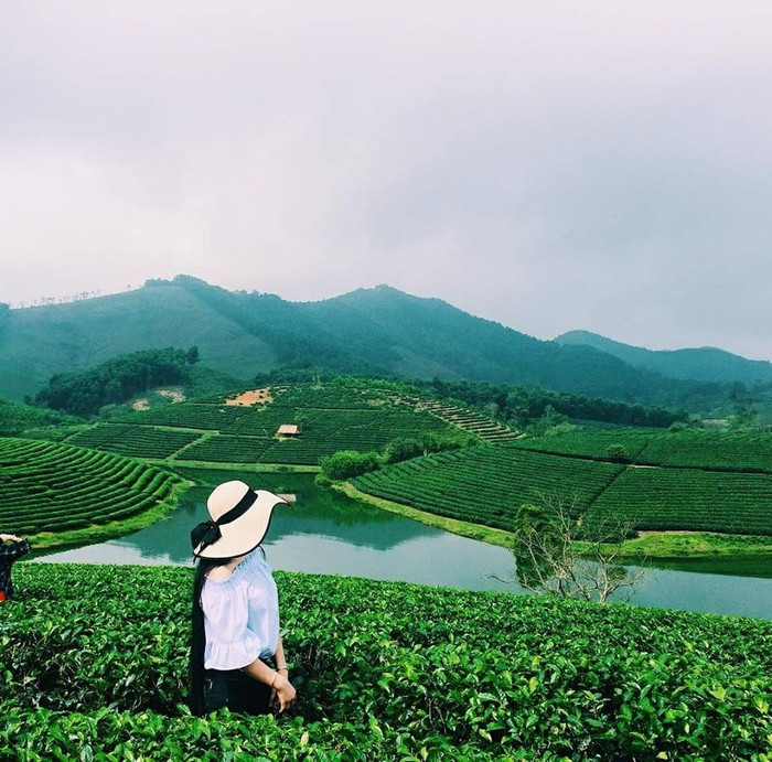 Ảnh: Sưu tầm