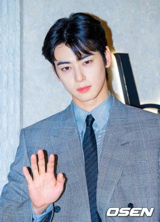 Gần đây, Cha Eun Woo vướng vào vụ việc liên quan tiền thuế. (Ảnh từ OSEN)