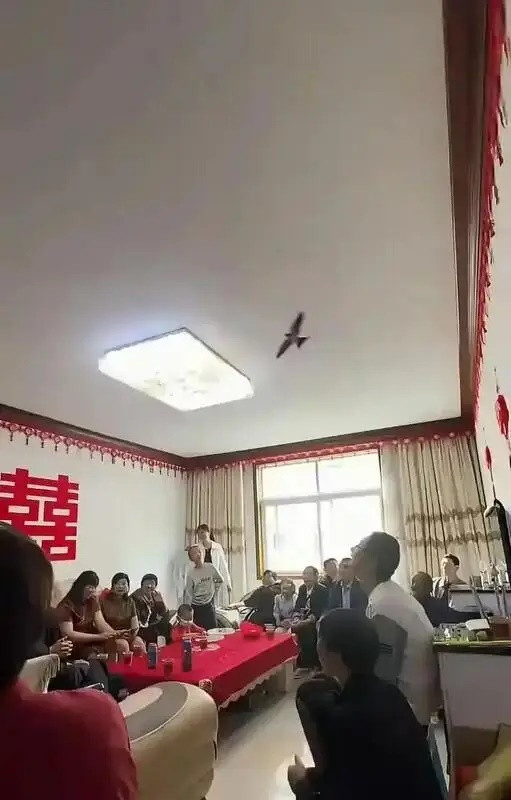 Cảnh tượng lạ xuất hiện trong đám cưới của cặp đôi trẻ, nhiều người chứng kiến xôn xao Ảnh 1