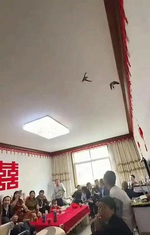 Cảnh tượng lạ xuất hiện trong đám cưới của cặp đôi trẻ, nhiều người chứng kiến xôn xao Ảnh 4