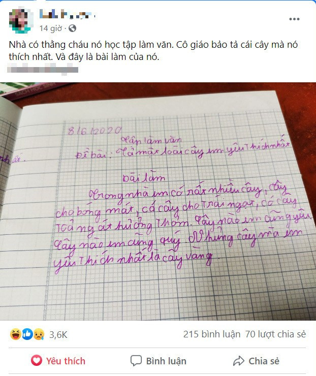 Làm bài văn tả loài cây thích nhất, em học sinh nhắc đến cái tên ai cũng thích Ảnh 1