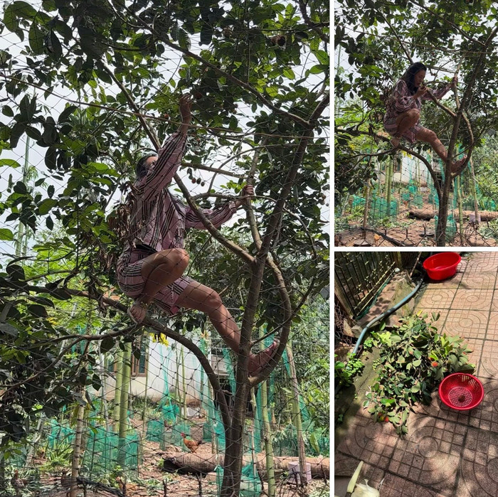 Diễn viên Nam Thư thường xuyên chia sẻ hình ảnh ở quê. Ảnh: Chụp màn hình FBNV