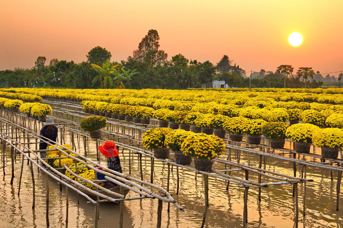 Nhịp sống bình dị của người dân quê hương ca sĩ Hồ Văn Cường. Ảnh: Sưu tầm