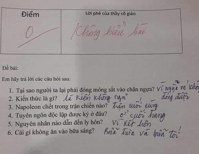 Bài tập làm đúng hết nhưng bị 0 điểm, xem đáp án mới thấy cô giáo chấm không oan Ảnh 1