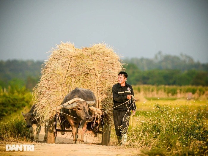 Hình ảnh đẹp của bà con xứ Nghệ. Ảnh minh họa/Nguồn: báo Dân Trí