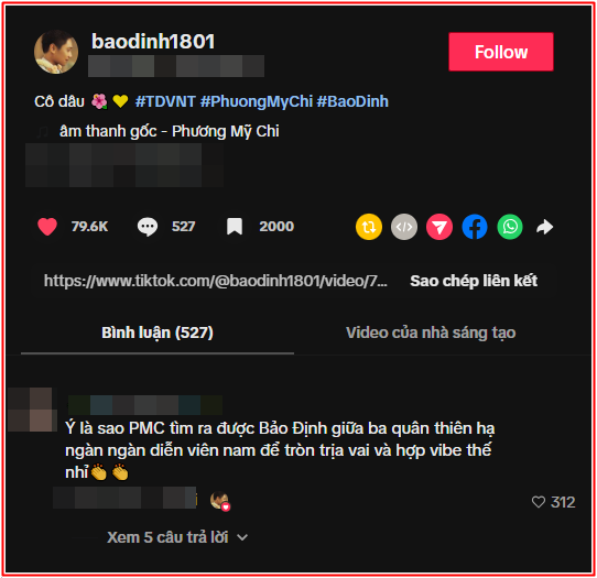 Bài đăng của Bảo Định về Phương Mỹ Chi khiến khán giả thích thú (Ảnh: Chụp màn hình TikTok baodinh1801)