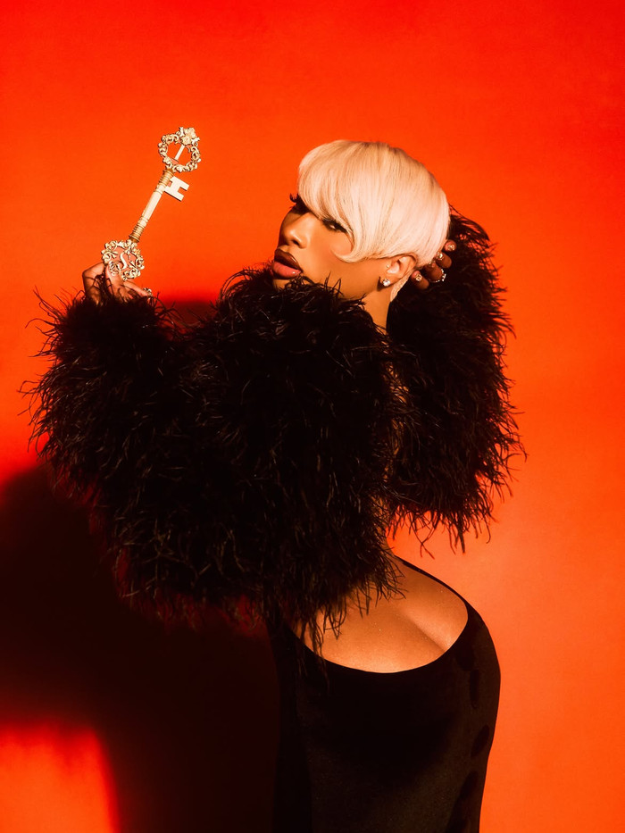Megan Thee Stallion ký hợp đồng phân phối với Interscope, vẫn giữ quyền sở hữu âm nhạc Ảnh 1