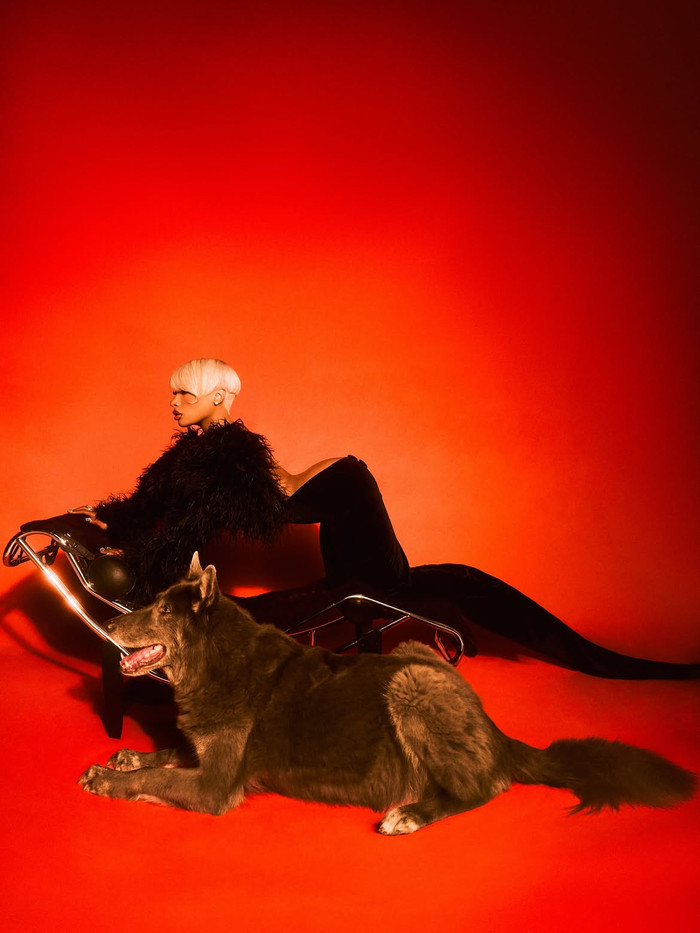 Megan Thee Stallion ký hợp đồng phân phối với Interscope, vẫn giữ quyền sở hữu âm nhạc Ảnh 2